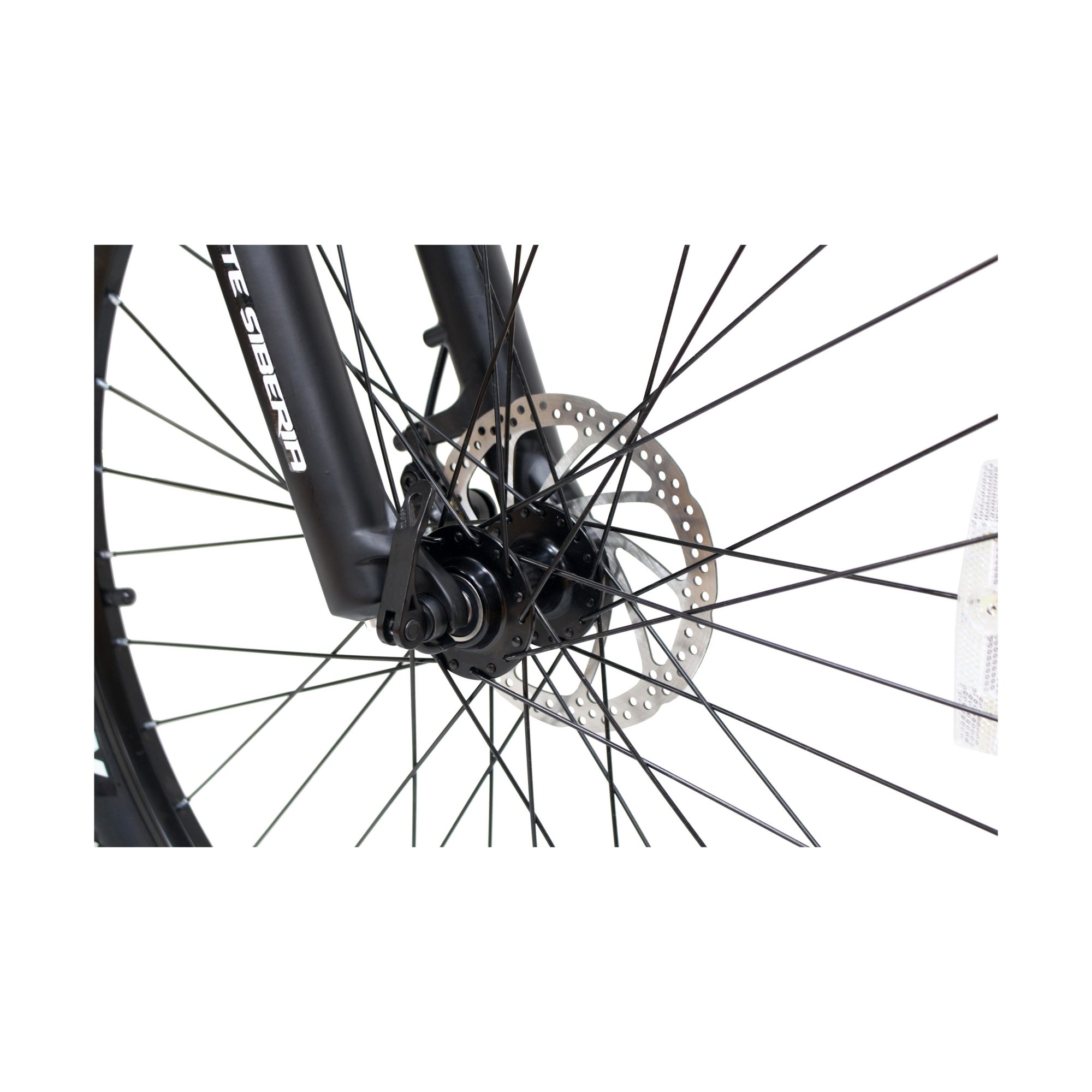 WHITE SIBERIA CAMRY X BLACK EDITION